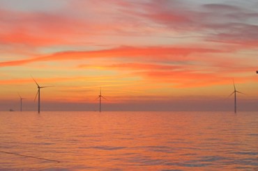 wind farm