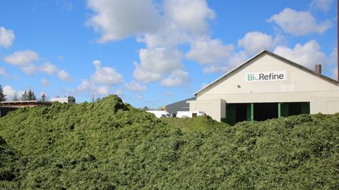 Biorefine Grass Protein 2