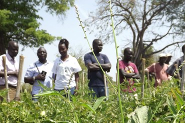 Model Farmers 1