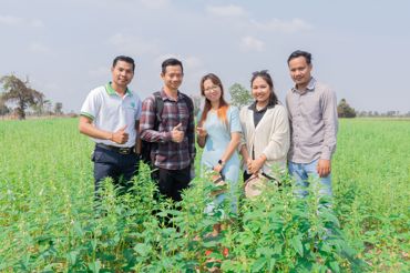 Nara Noualyny Profile Sesame Field