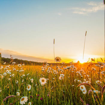 Landingpage_thumbnail