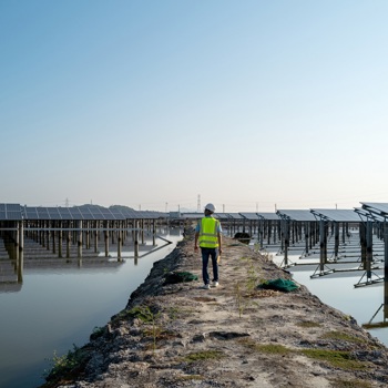 Decarbonisation 2 Credit Xiaoke Chen