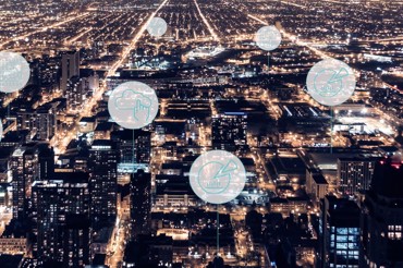 Software Services