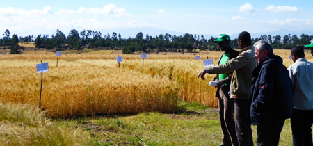 Farmers at GIZ